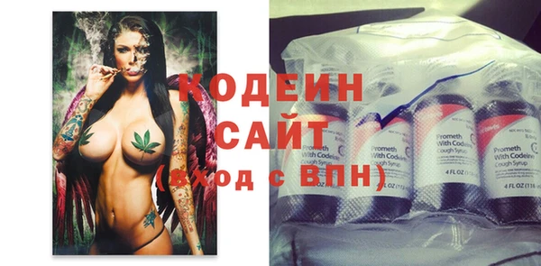 индика Вязники