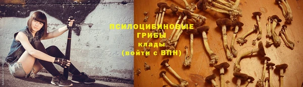 сатива Алексин