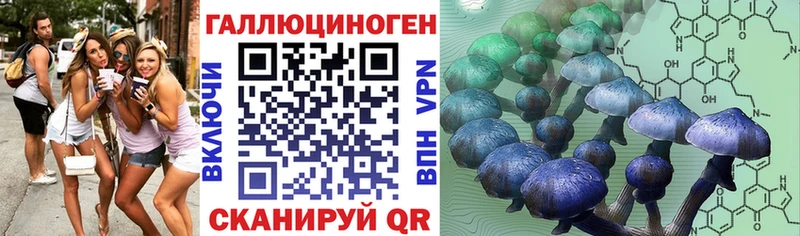 Галлюциногенные грибы GOLDEN TEACHER Пушкино